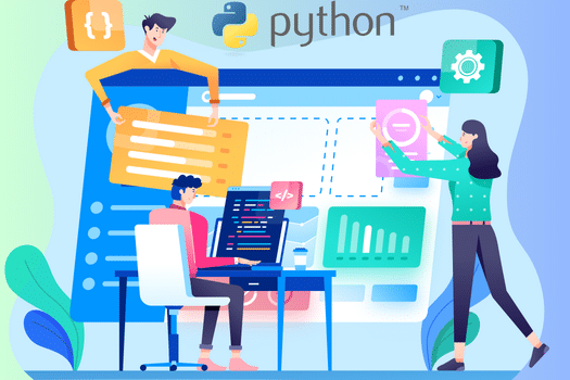 python development services